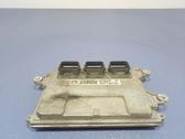 Engine control unit/module ECU