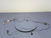 Other wiring loom