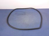 Front door rubber seal
