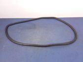 Front door rubber seal