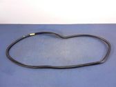 Front door rubber seal