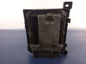 Engine control unit/module ECU