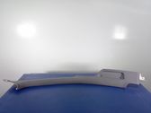 Other sill/pillar trim element