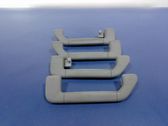 Front interior roof grab handle