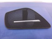Other sill/pillar trim element