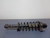 Rear shock absorber/damper