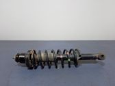 Rear shock absorber/damper