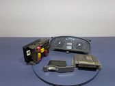 Engine control unit/module ECU