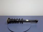 Rear shock absorber/damper
