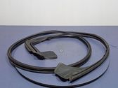 Front door rubber seal