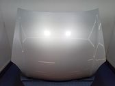 Motorhaube