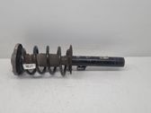 Front shock absorber/damper