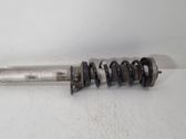 Front shock absorber with coil spring