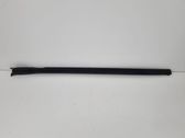Windshield trim