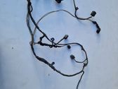 Other wiring loom