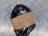 Sicherheitsgurt vorne
