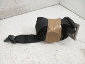 Cinturón trasero