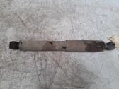 Stoßdämpfer hinten