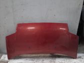 Motorhaube
