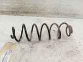 Muelle espiral trasero