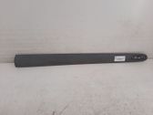 Front door trim (molding)