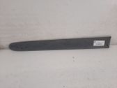 Rear door trim (molding)