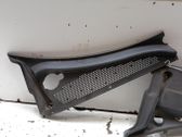 Wiper trim