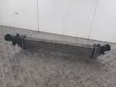 Intercooler radiator