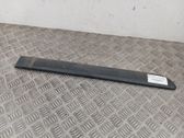 Listón embellecedor de la puerta delantera (moldura)