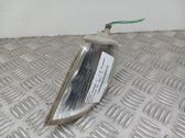 Front fender indicator light
