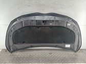Motorhaube