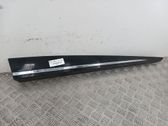 Listón embellecedor de la puerta delantera (moldura)