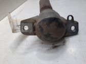 Rear shock absorber/damper