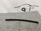 Rear door glass trim molding