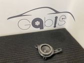 Rear door speaker
