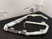 Airbag del techo