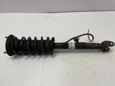 Front shock absorber/damper