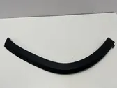 Fender trim (molding)