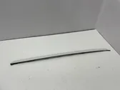 Windshield trim