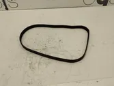 Alternator belt