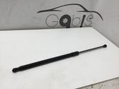 Tailgate/trunk strut/damper