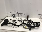 Other wiring loom