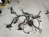 Cableado de instalación del motor