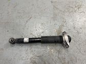 Rear shock absorber/damper