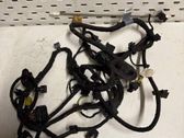 Parking sensor (PDC) wiring loom