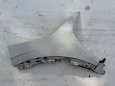 Front bumper corner part panel trim