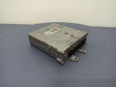 Engine control unit/module ECU