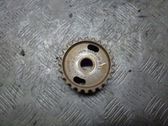 Fuel pump gear (pulley)