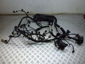 Faisceau de câblage pour moteur