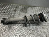 Front shock absorber/damper